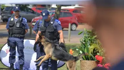 New K9 Unit in Stellies to tackle guns and drugs — IOL (site feed)