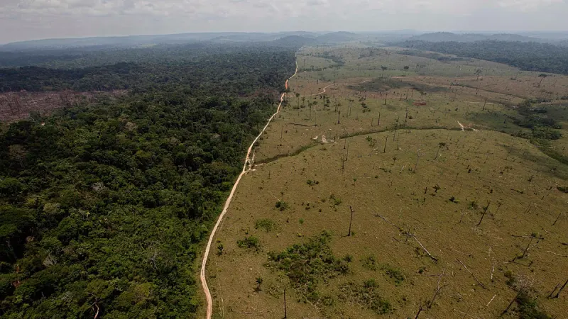 ‘Recovery becomes self-propelling’: Five positive tipping points that can save the world — photograph supplied by Euronews