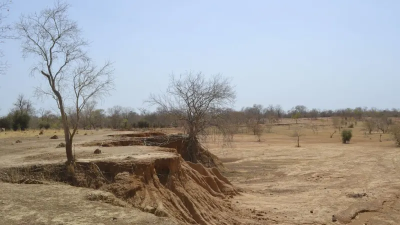 Sanankoro gold project nears construction phase, Cora Gold says — photograph supplied by Mining Weekly