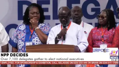 NPP approves 14 constitutional amendments despite earlier call to defer exercise — MyJoyOnline