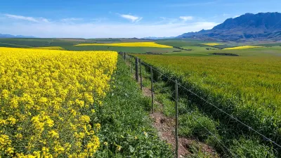 HARD ROW TO HOE: Bread & Wine: What’s the future of wheat and wine farming? (Part Six) — Daily Maverick