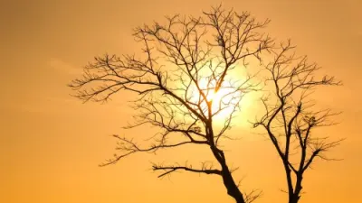 El Niño warning: SAWS calls for early planning ahead of 2026/27 summer — IOL (site feed)