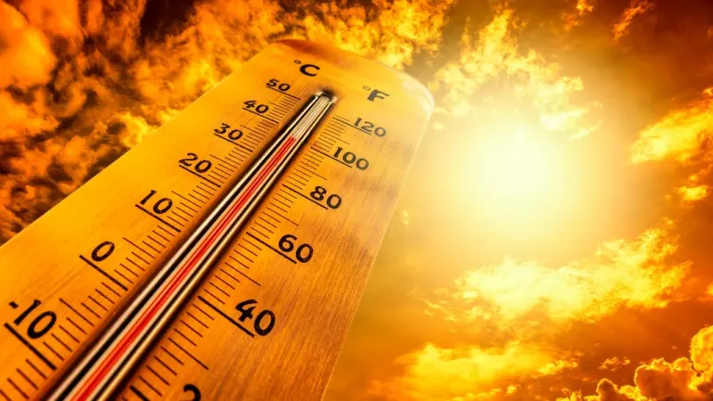 News24 | El Niño could cause 1 200 extra heat deaths in SA by February, data shows — photograph supplied by News24 South Africa
