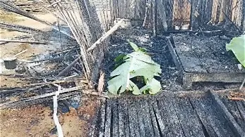 Four family members burnt to death in fire at Apemanim Number Two — MyJoyOnline