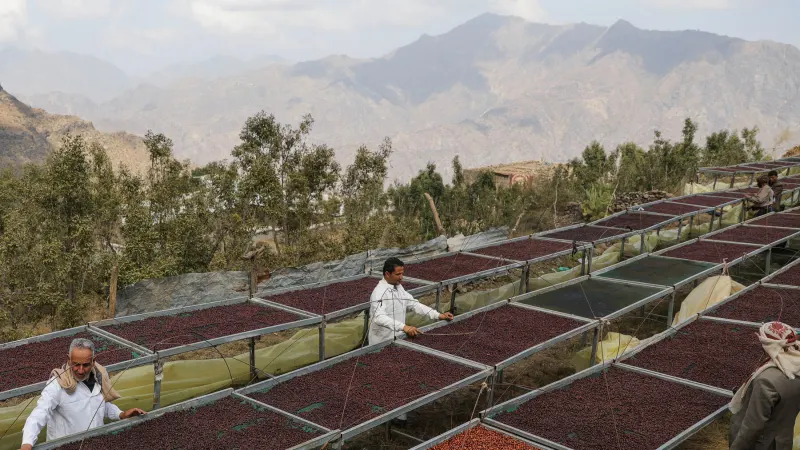 Why Mokha, Historic Port That Shaped the Coffee Trade, Is a Prize in Yemen’s War — photograph supplied by NYT World