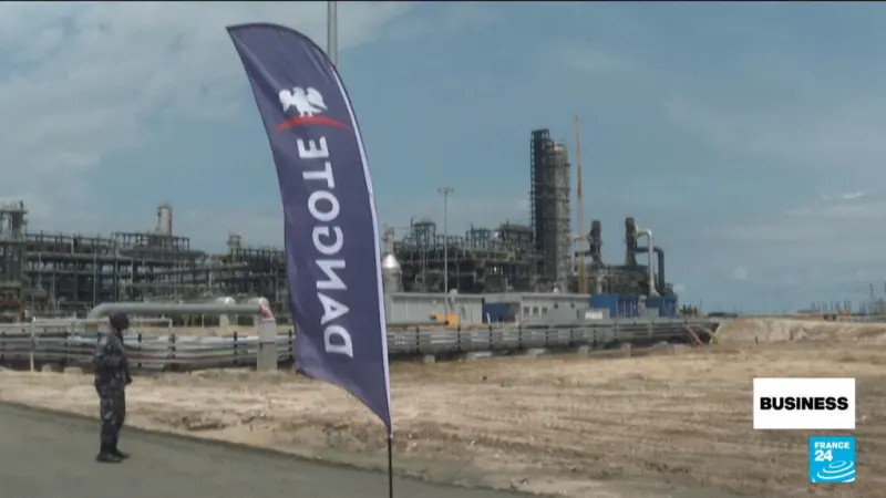 Nigeria's Dangote refinery kicks off blockbuster IPO — photograph supplied by France 24