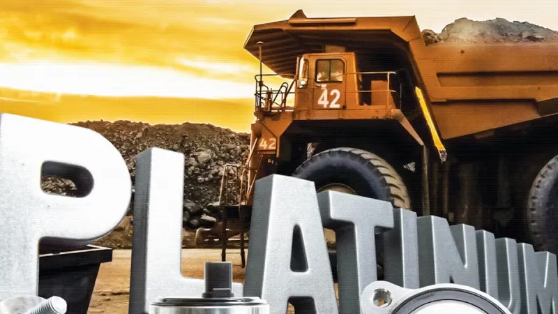 MUZIWETHU NDLOVU | Balancing Africa’s industrial policy and free trade — photograph supplied by BusinessLIVE