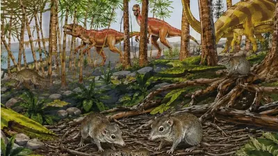 Early mammals weren’t all loners, as scientists thought – some already lived in pairs alongside the dinosaurs — The Conversation Africa