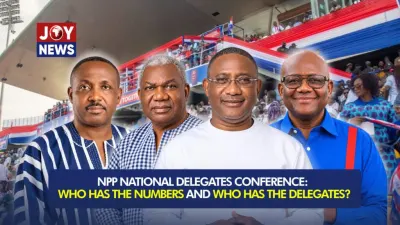 NPP elects national executives today in Kumasi ahead of election 2028 — MyJoyOnline