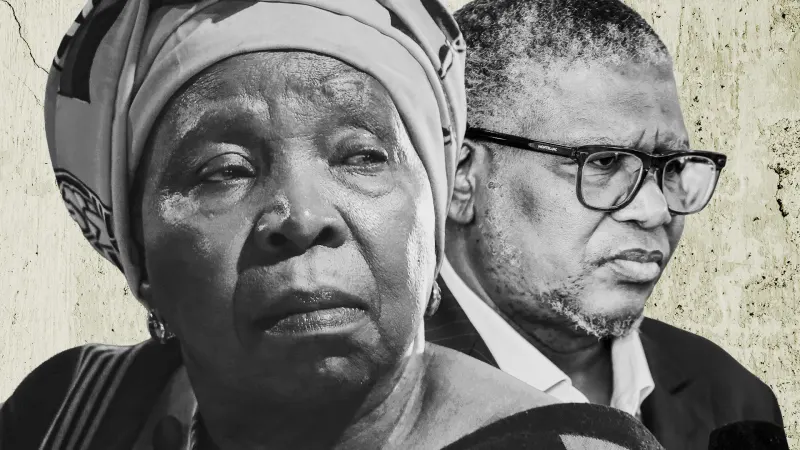 DEFAMATION CASE: Mbalula, Dlamini Zuma legal teams clash in court over vote-buying claims — photograph supplied by Daily Maverick