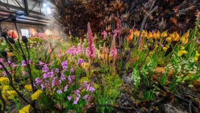 LS only 10 things to do at Stanford in Bloom — TimesLIVE