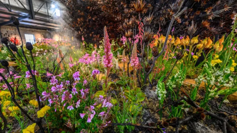 LS only 10 things to do at Stanford in Bloom — photograph supplied by TimesLIVE