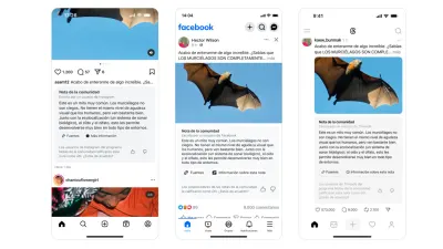 Meta is testing Community Notes in Latin America. Fact checkers are worried. — Engadget