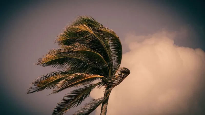 Weather: Brace for fresh to strong winds in these areas — photograph supplied by The South African