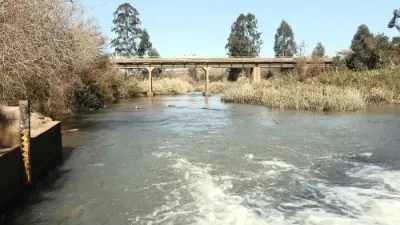 Save Albert Falls Association threatens legal action over sewage pollution — IOL (site feed)