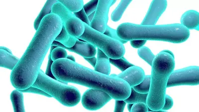 Plateau records 469 suspected diphtheria cases, 31 deaths — Premium Times