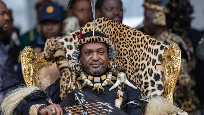 HOGARTH | Forget the skins, feel the degree — photograph supplied by TimesLIVE