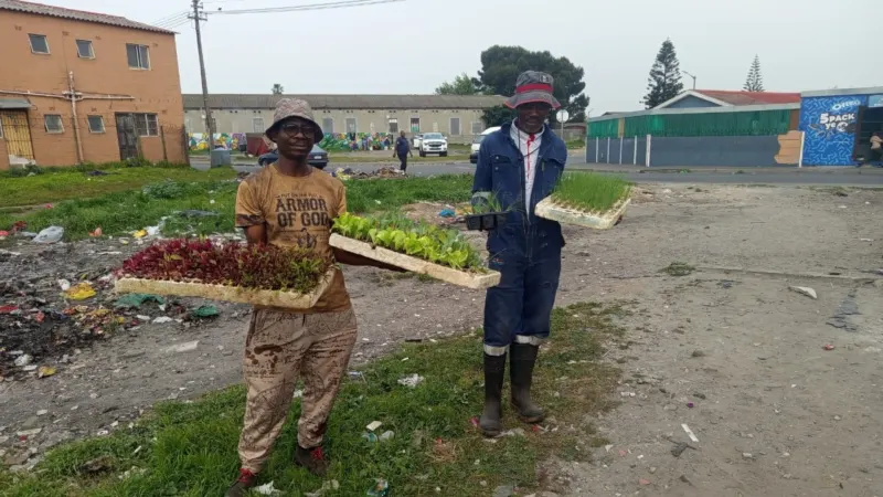 Langa urban garden feeds crèche, community to drive food justice — photograph supplied by Food For Mzansi