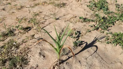 EXPLAINER | What is a ‘super El Niño’ and how will it affect the weather? — TimesLIVE