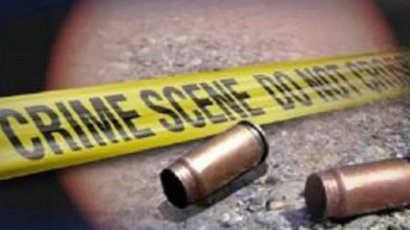 DA condemns wave of shootings in Gauteng, Western Cape — photograph supplied by SABC News