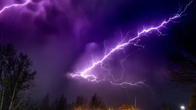 Buffalo thorn branches will not protect you against lightning — HeraldLIVE