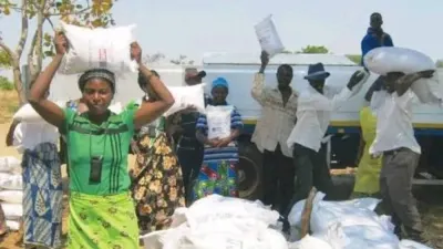 Over 5,000 Kasenengwa farmers redeem FISP inputs — Lusaka Times