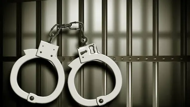 Stocktheft suspect arrested after dramatic escape at roadblock — photograph supplied by NewsDay Zimbabwe