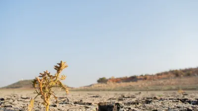 As extreme El Niño threatens, government holds off on funding — BusinessLIVE