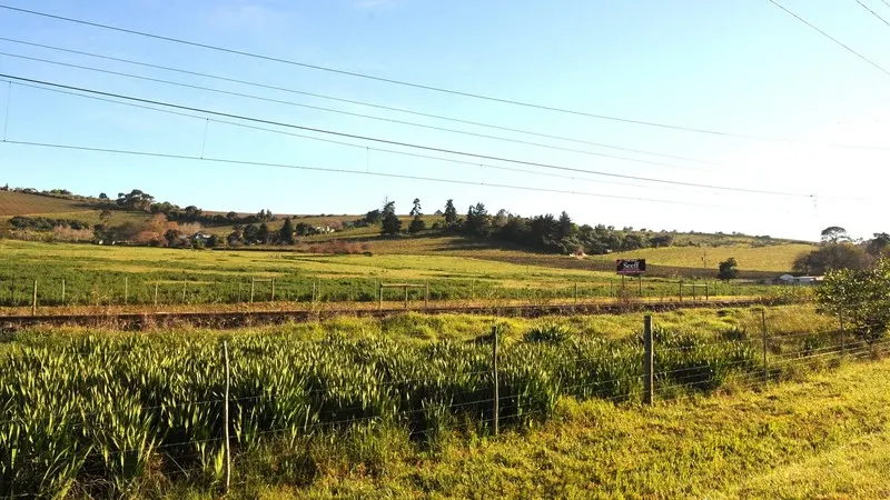 Farmers increasingly embrace digital platforms to boost efficiency, says Nedbank — photograph supplied by IOL Business