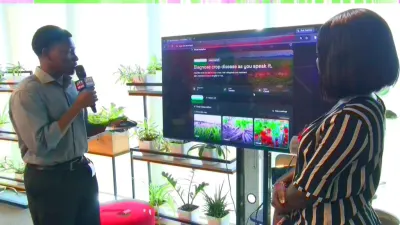 AI tool helps Ghanaian farmers identify crop threats from field observations — MyJoyOnline