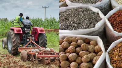 Uyo to host 5th Agribusiness conference, organisers target investment, jobs — Premium Times