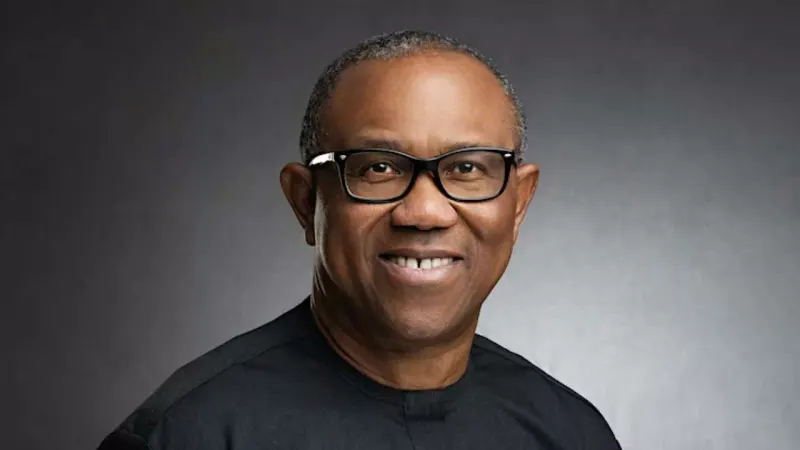 LP disowns ex-spokeperson who sued UNN over Peter Obi’s credentials — photograph supplied by Premium Times