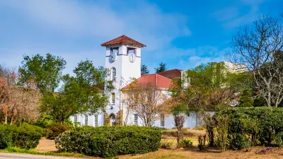 Five in running to succeed Buhlungu at Fort Hare — DispatchLIVE
