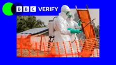 Ebola misinformation fuels violent attacks on health workers — BBC Africa