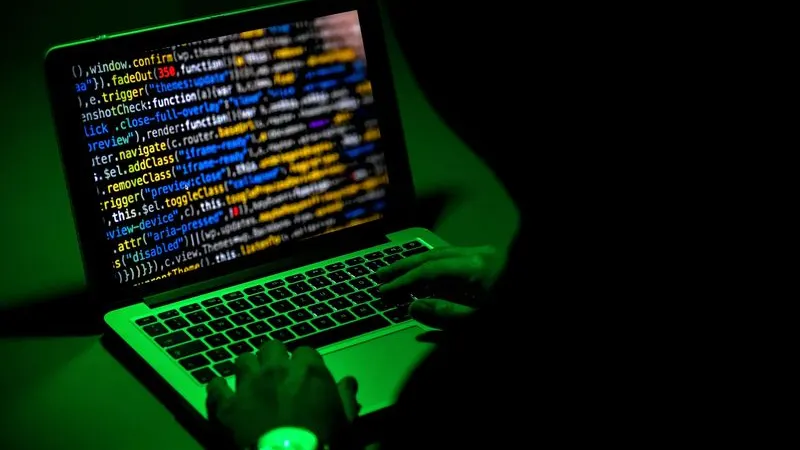 Dutch ‘reformed hacker’ arrested in ShinyHunters investigation, police and boss say — photograph supplied by Daily Maverick