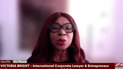 ‘Criminal law can’t turn every poor commercial judgment involving state entity into an offence’ – Victoria Bright — MyJoyOnline
