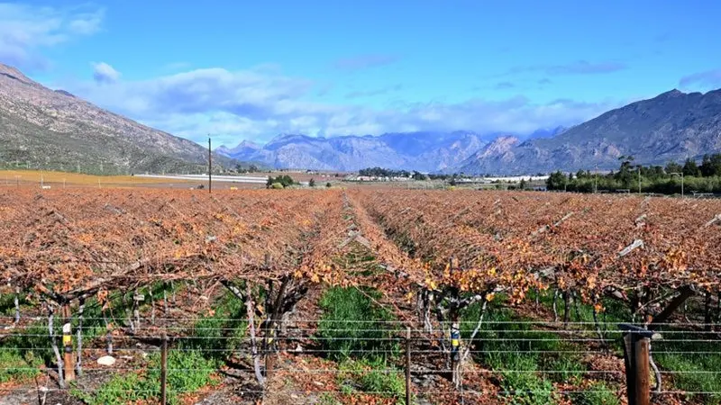 COMING IN HOT: Very strong El Niño is a ‘stress test’ for SA’s food systems — photograph supplied by Daily Maverick