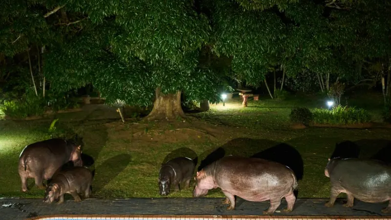 iSimangaliso World Heritage Site is in danger, scientists warn — photograph supplied by Ground Up