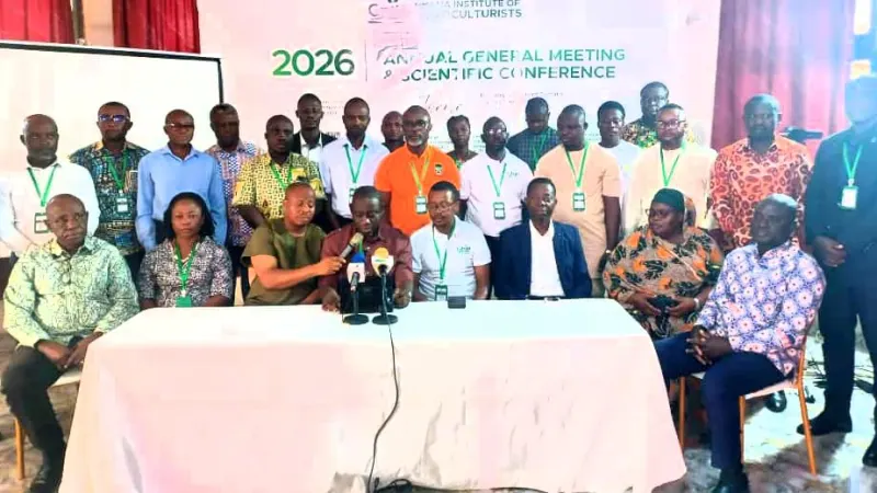 Horticulturists call for dedicated authority, irrigation and tomato factory revival — photograph supplied by MyJoyOnline