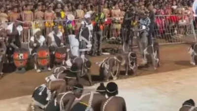 Rain Queen gets Zulu maidens dancing at Reed Dance — Scrolla Africa