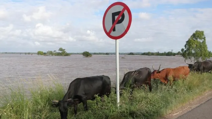 Mozambique: El Niño contributed to 55% increase in food insecurity — photograph supplied by Club of Mozambique