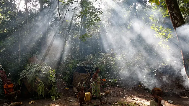 UN issues call to action on world's vital dryland forests — photograph supplied by Africanews
