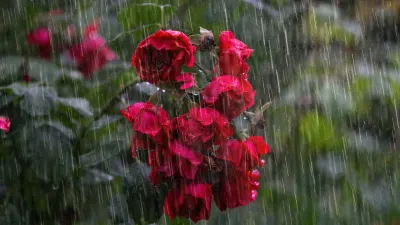 WEATHER: Severe storms with heavy rain to batter South Africa — The South African
