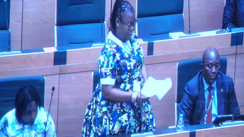MPs raise alarm over rising fatal domestic disputes in Zimbabwe — photograph supplied by New Zimbabwe