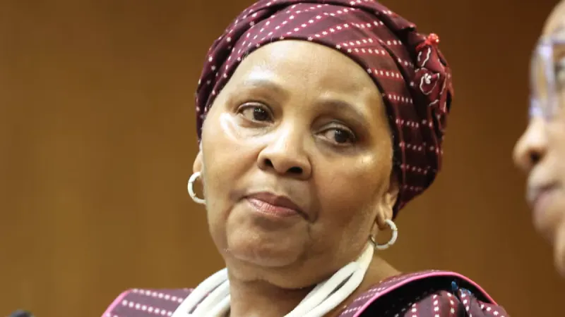 WATCH | Mapisa-Nqakula says she has no code words for criminal activities — photograph supplied by SowetanLIVE