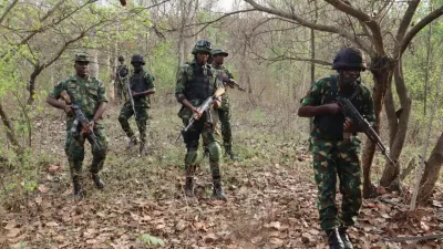 Army raids terrorists’ enclave, neutralises suspect, recovers arms – Official — Premium Times