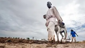 Drought threatens Sudan’s agricultural season as food fears grow — Radio Dabanga