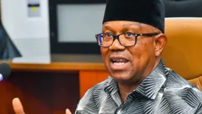 2027: Obi’s credentials under probe as LP chieftain sues WAEC, UNN, NYSC — Vanguard Nigeria