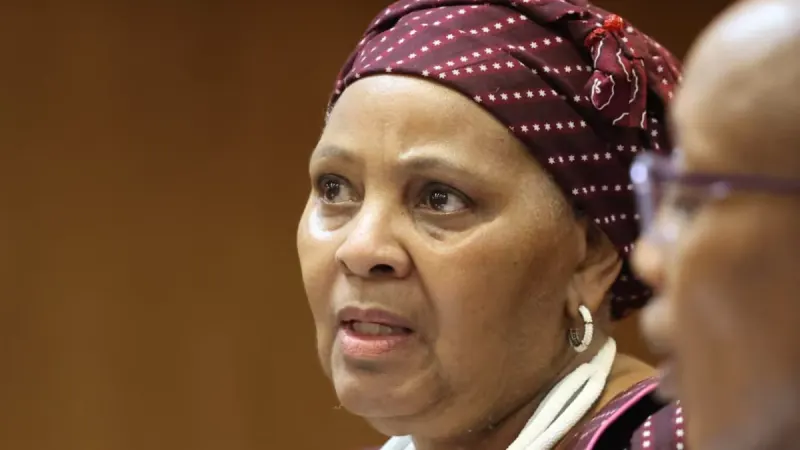 ‘I’m harsh, not vicious’: Mapisa-Nqakula says she has never been a criminal — photograph supplied by SowetanLIVE