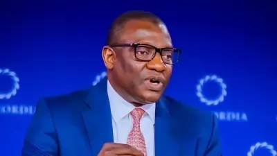 Nigeria’s 44 minerals must create jobs, not export poverty, Says Wunti — Premium Times